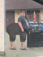 1722452242554.png