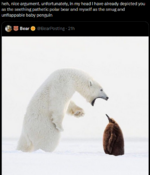 1739712791977.png