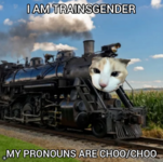 1750946426745.png
