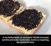 1752077411453.jpeg