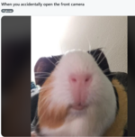 1758897927873.png