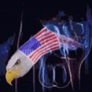 america-funny.gif