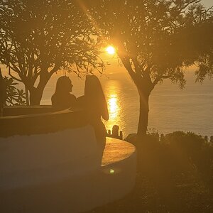 IMG_7627.jpeg